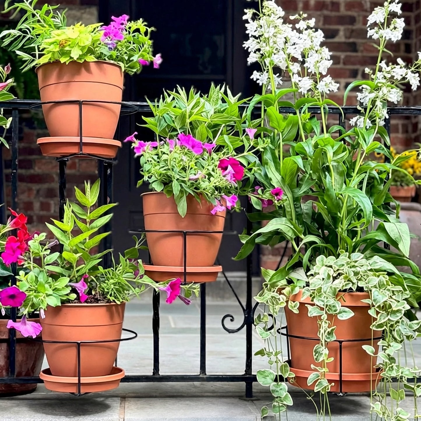 🎁Last Day 49% OFF🔥 Railing Plant Hanger