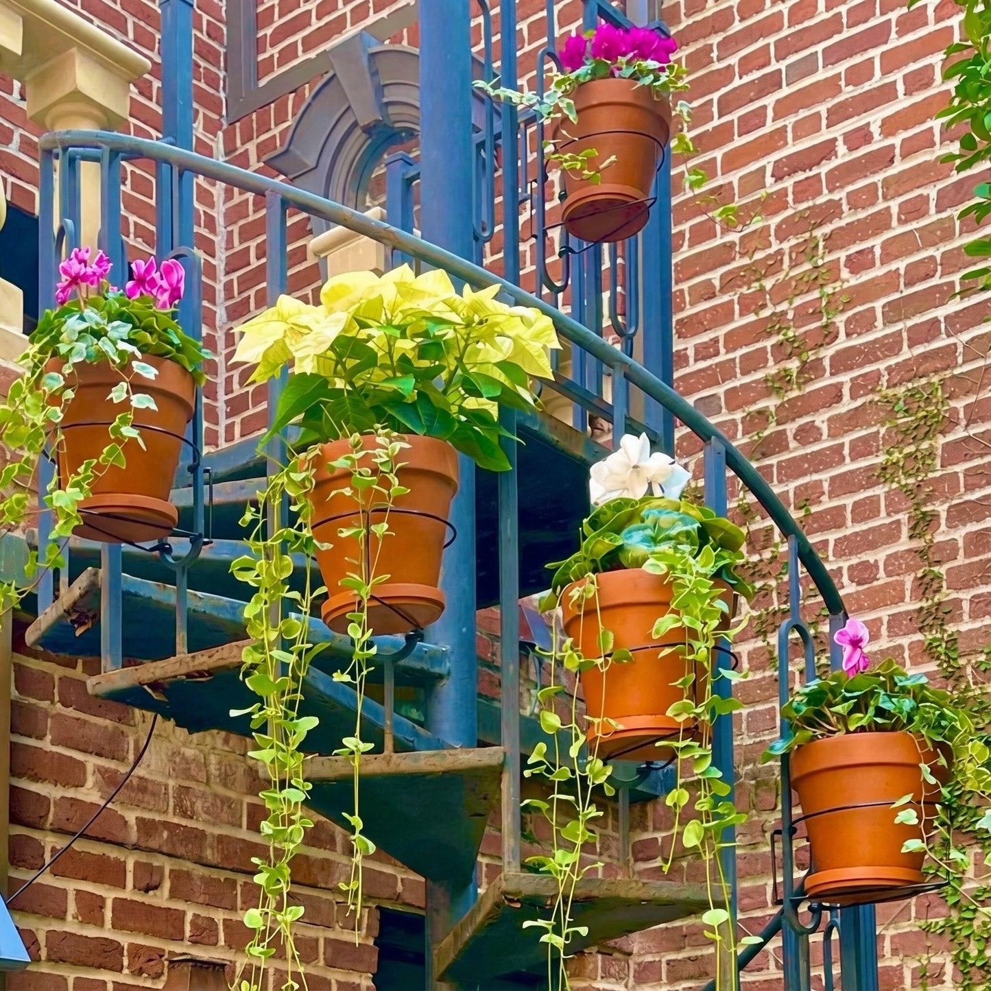 🎁Last Day 49% OFF🔥 Railing Plant Hanger